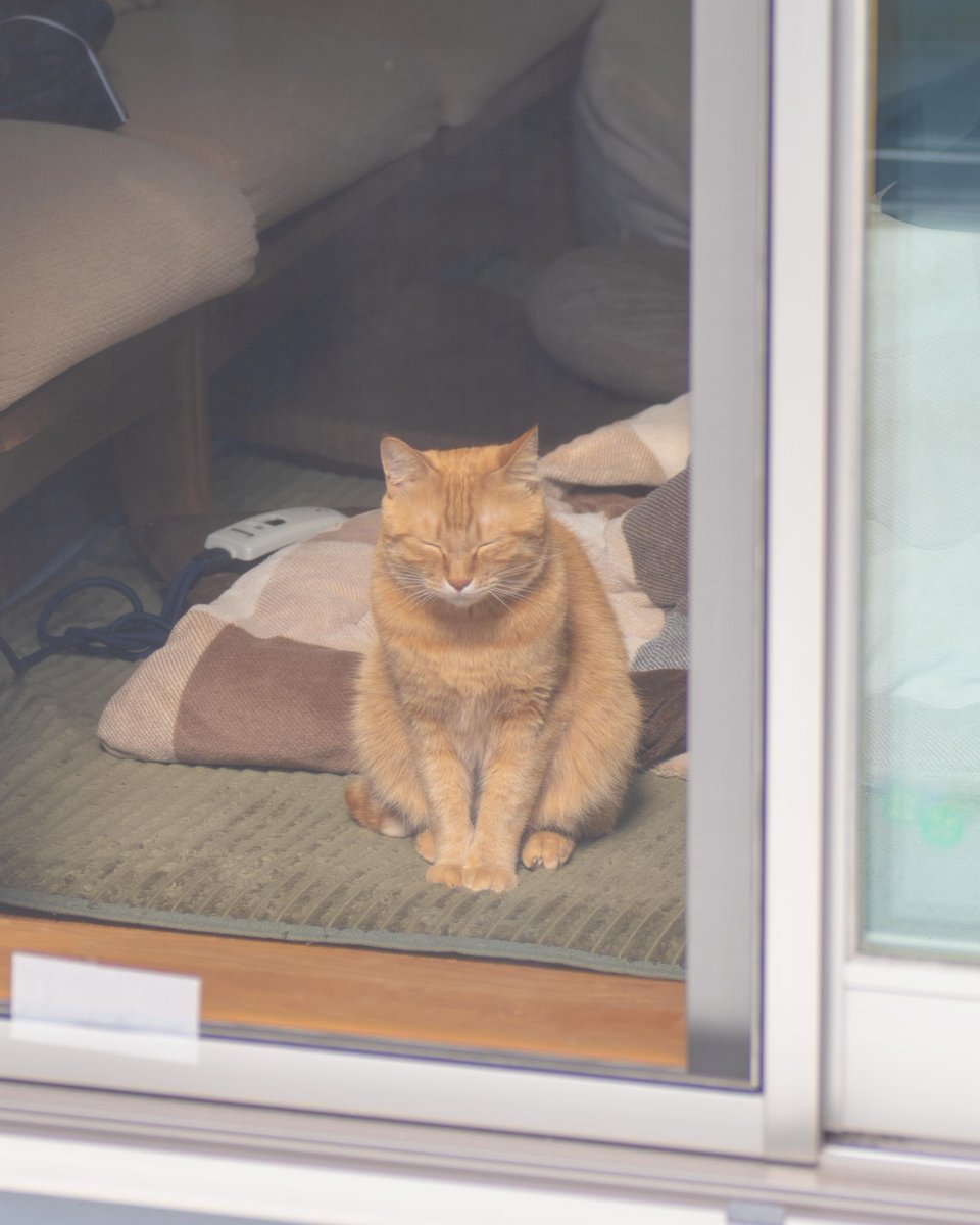 isesinsyuu's tweet photo. 春爛漫
今年初のてんとう虫と日向ぼっこの猫

#伊勢 #進修まちづくり #てんとう虫 #猫 #春爛漫 https://t.co/HvmHDtxUM2