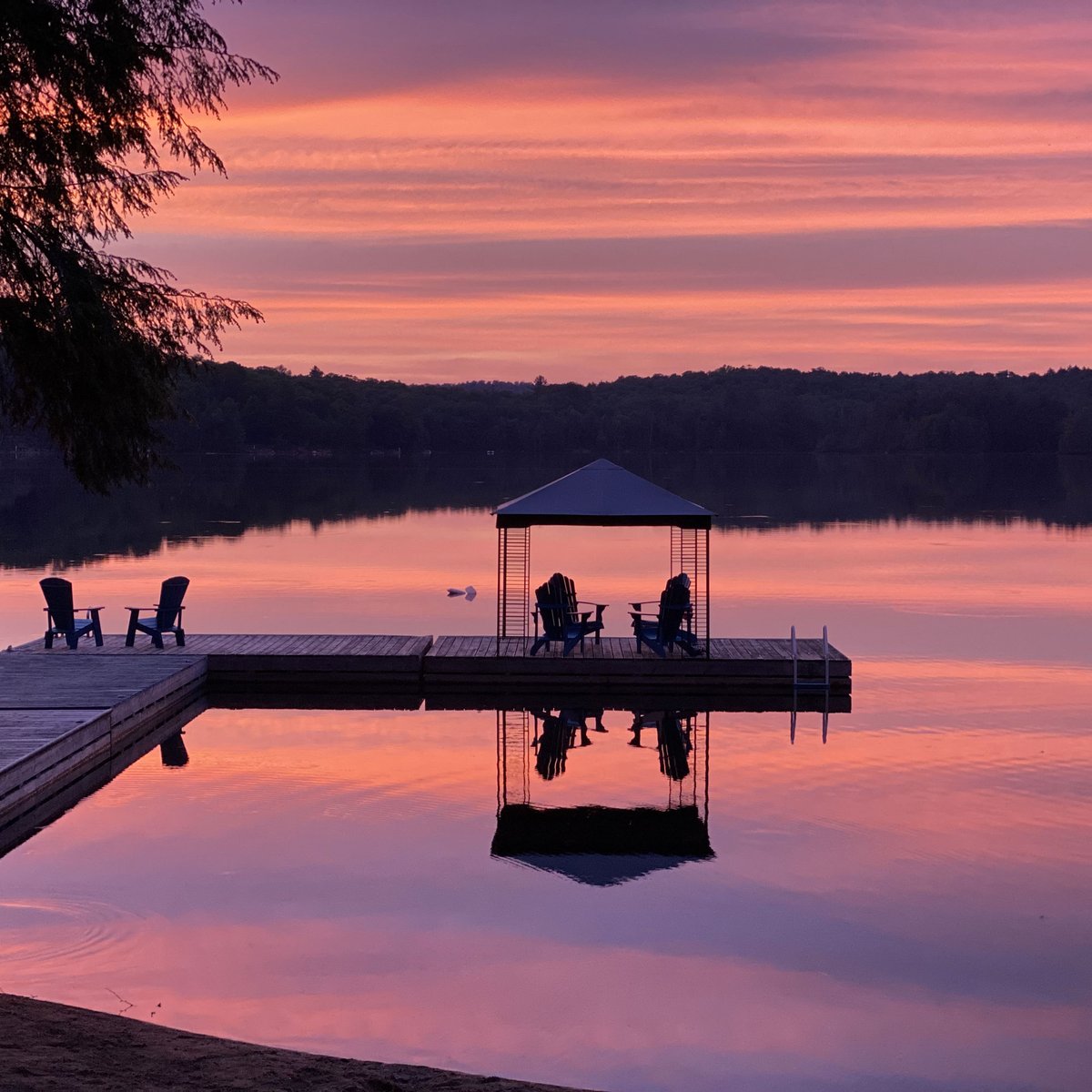 Spring sunsets are so stunning over Walker lake. Pink, purple, red, orange, yellow... you never know what you are going to get... but EVERY TIME it's a masterpiece! 😍

#relaxationmode #sunset #relaxation #springishere #walkerlakeresort #muskoka #lakelife #muskokagetaway