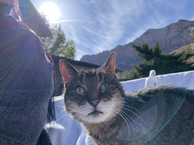 Watch Charlotte Stokely 🐝's leaked NSFW photo on TwXstars