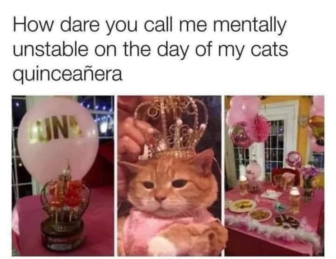 This is a #Mexican coming of age tradition for girls and in my crazy world cats should also be celebrated 🎊🥳👸😂 #CatsOfX