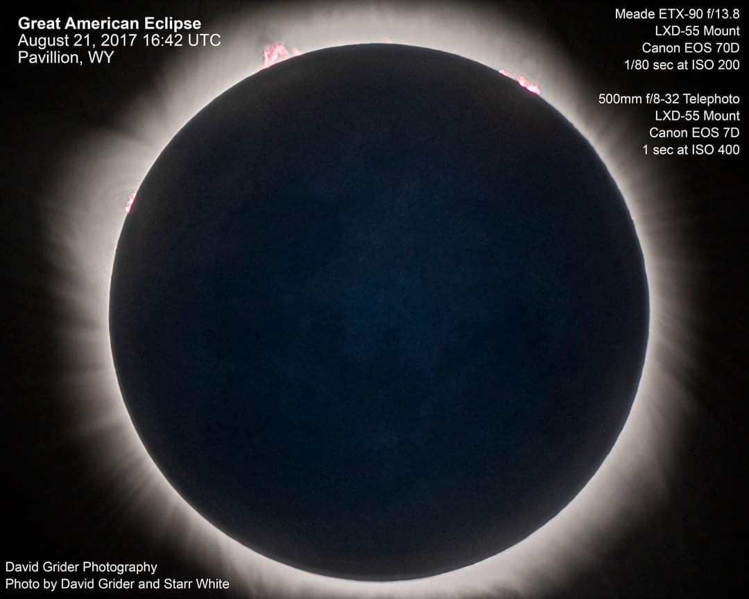 Insert Name Here tweet media