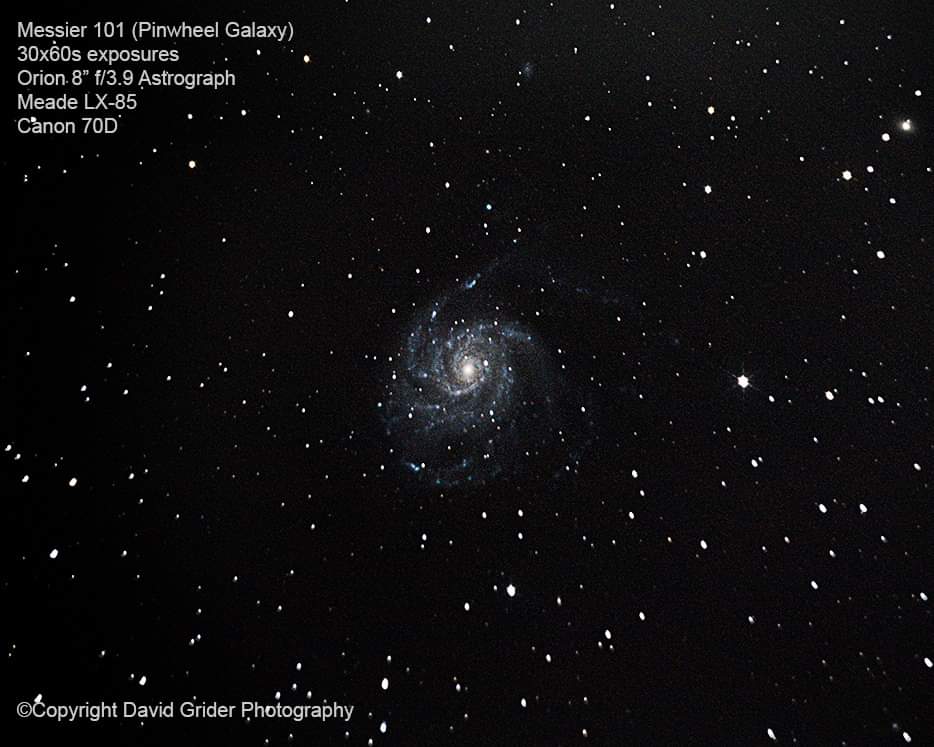 Insert Name Here tweet media