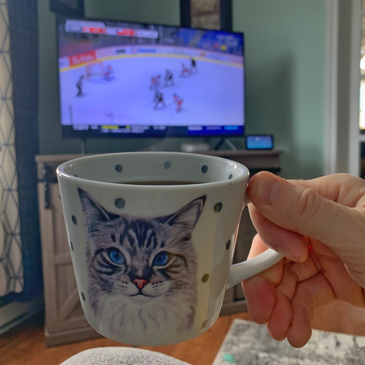 Good morning, friends ✌️☕️🏒