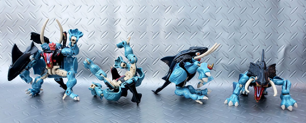 マキシマ tweet media