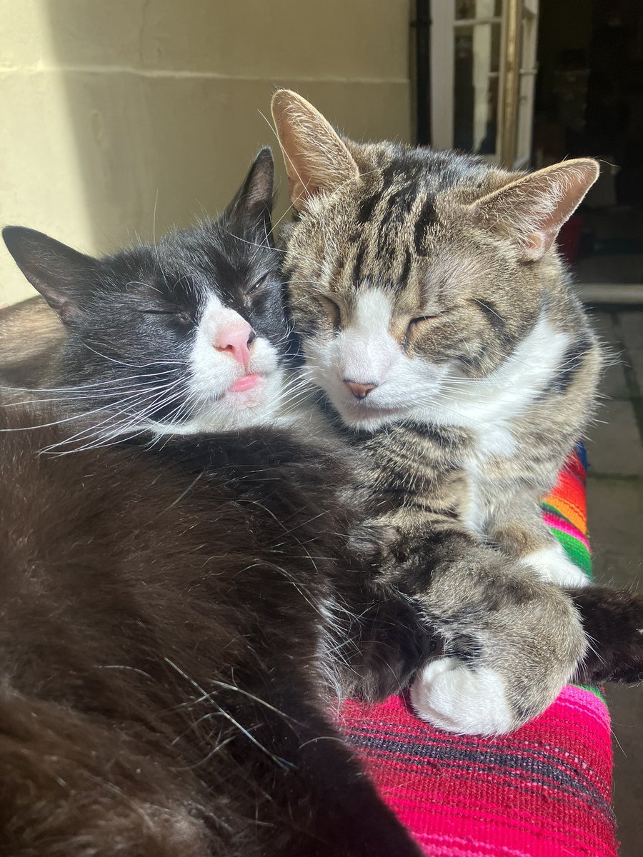 DRAMATIC INKING tweet media