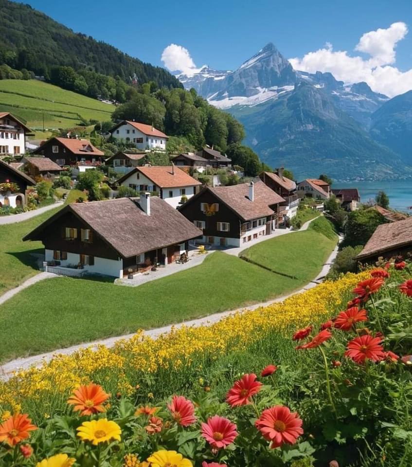 Magnifique Suisse 🇨🇭