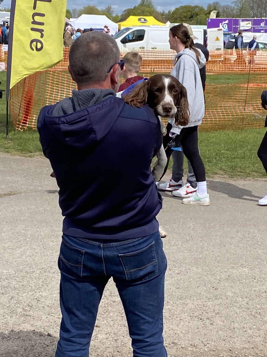 Retired Police Dog Alfie giving his paws a rest. What a star he has been giving out stickers. @duke_rpd @pensions4paws @Allaboutdogssho