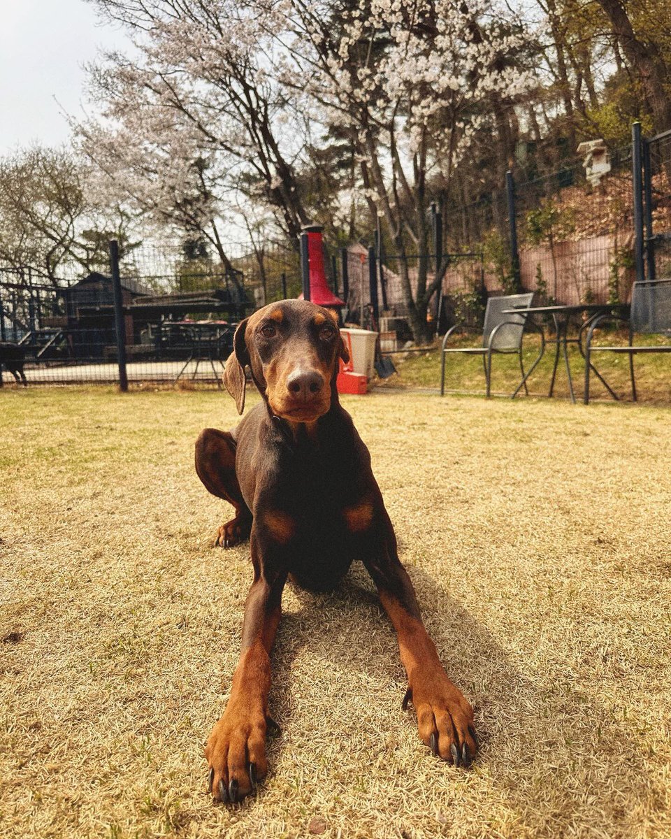 btsinthemoment's tweet photo. [bowwow_bam] instagram post 

🐰 about to fly away https://t.co/Avoe65hMs5