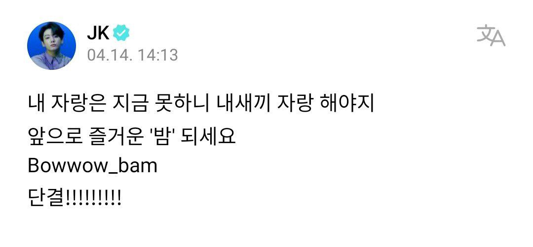 🐰: Сейчас я не могу показывать что-то о себе, поэтому буду показывать своего малыша Всем хорошего Бама (игра слов) Bowwow_bam Честь имею!!!!!! Ною