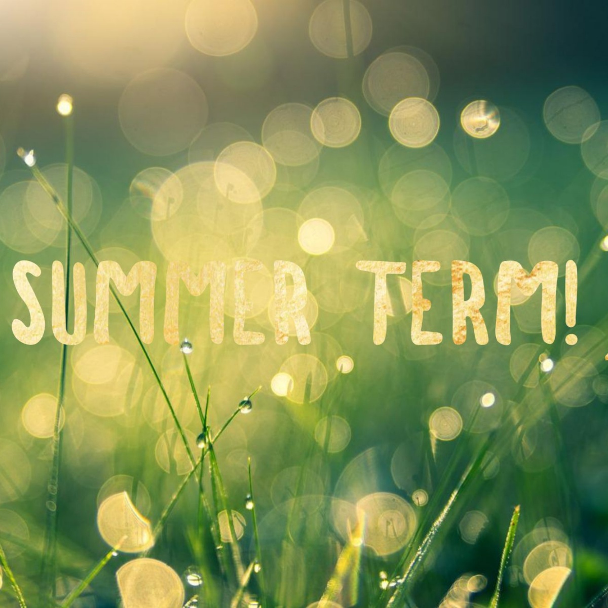 Reminder to parents/carers that Summer Term begins tomorrow. School will be open at the usual time, and we look forward to welcoming the children back! See you tomorrow morning!