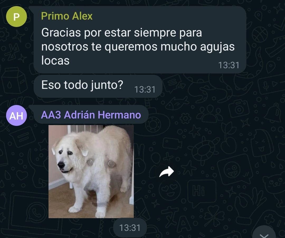 bnegrop_'s tweet photo. El grupo de los primos en el cumple de la abuela al poner dedicatorias es lo más parecido que hago fuera de clase a organizar un trabajo con quinto de primaria. https://t.co/SfYZOQC0Fv