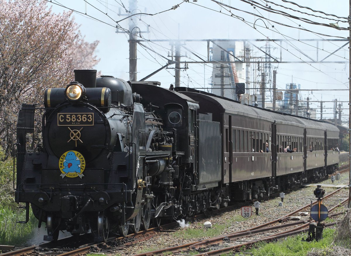 EF58157's tweet photo. 2024-4-14
秩父鉄道
回5102レ  
SLパレオエクスプレス送り込み回送 
デキ105+旧客4両+C58 363

5101レ
SLパレオエクスプレス 
C58 363+旧客4B 初代パレオエクスプレス付き

おじさん世代には懐かしい旧客のパレオエクスプレス
撮影地でお会いした皆様お疲れ様でした！
#パレオエクスプレス https://t.co/DnBTO12HDq