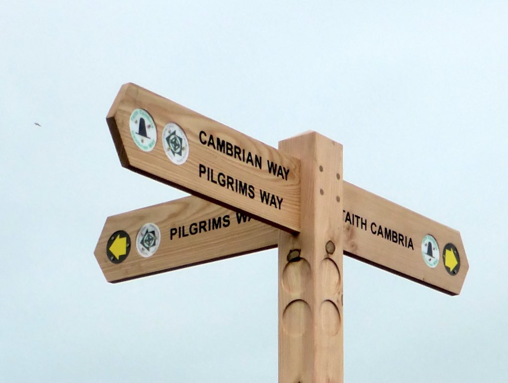 TheCambrianWay tweet picture