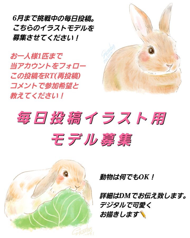 shizuka_1329's tweet photo. 【モデル募集】
毎日投稿のためのペットモデルを募集します。
これが最後です！

🌟参加条件🌟
フォロー、この投稿をリポスト
参加希望とコメントする

DMで企画趣旨をご説明します。
お一人様1匹ずつのみ。
虹の橋渡った子も気兼ねなくご参加ください🌈
定員50人先着順！
よろしくお願いします🙏❤️ https://t.co/HrFC8zx9eb