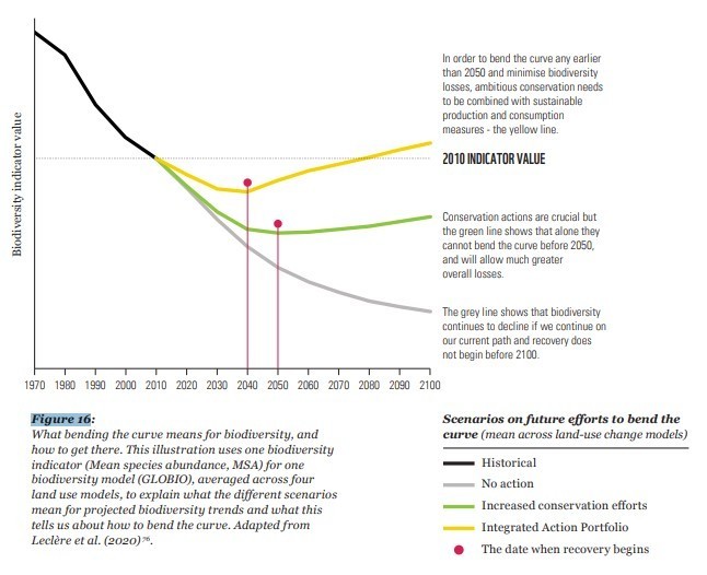According to the graph below, biodiversity recovery is possible, but will require ambitious targets that not only accelerate conservation and restoration, but also address drivers of biodiversity loss. #WhatHasChanged #ActforNature @WWF @CSDevNet1 @mariamCJA @Umoruameh1