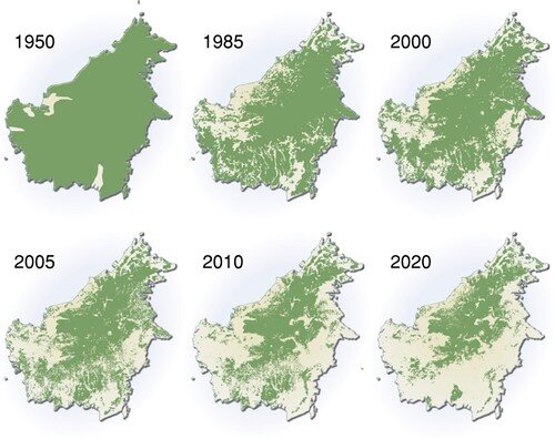 Did you know that the Borneo island which took 120 million years to grow has been decimated. Today it has only 45% of vegetal cover remaining.

This has been triggered by deforestation and other human activities.

#WhatHasChanged #ActforNature 
@WWF @CSDevNet1
