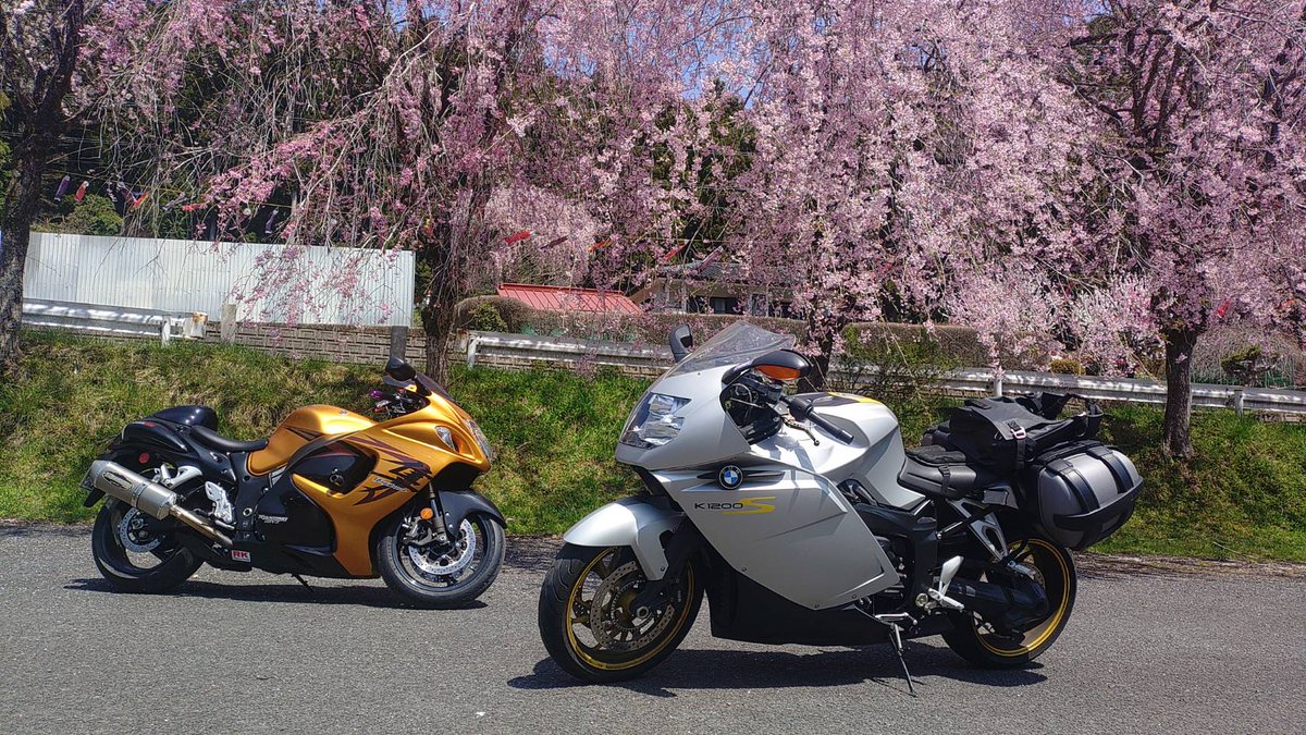 桜とハヤブサとK1200