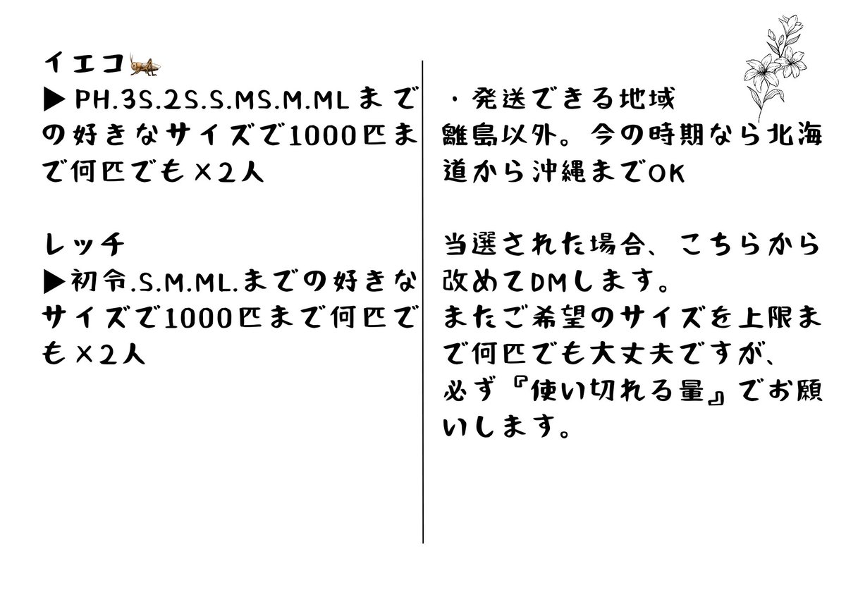 iroharoach's tweet photo. ／
プレゼント企画🎁
＼

①イエコ phからMLまで
　1000匹まで何匹でも ×2 枠
②レッドローチ  初令からLまで
　1000匹まで何匹でも×2 枠
総計4000匹

■応募方法
1   @iroharoachをフォロー
2  ご希望の番号を記載の上、この投稿をリポストまたは引用
■締切
4/16（火）23:59迄
詳しくは画像にて https://t.co/iUJoNDsRwt