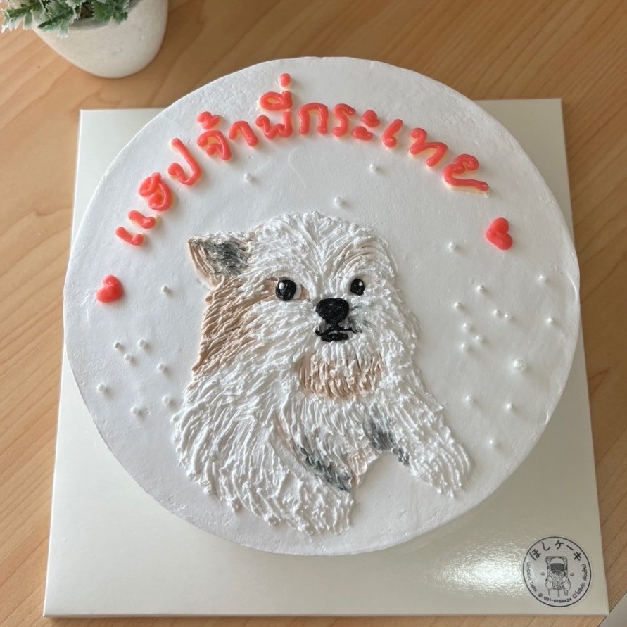 HOSHI CAKE tweet media