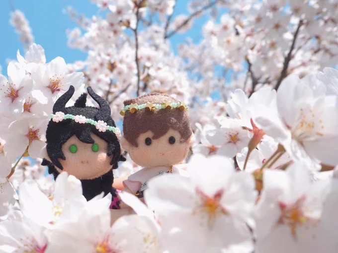 お花見!!ちいぬい達も一緒。お天気が良かった 