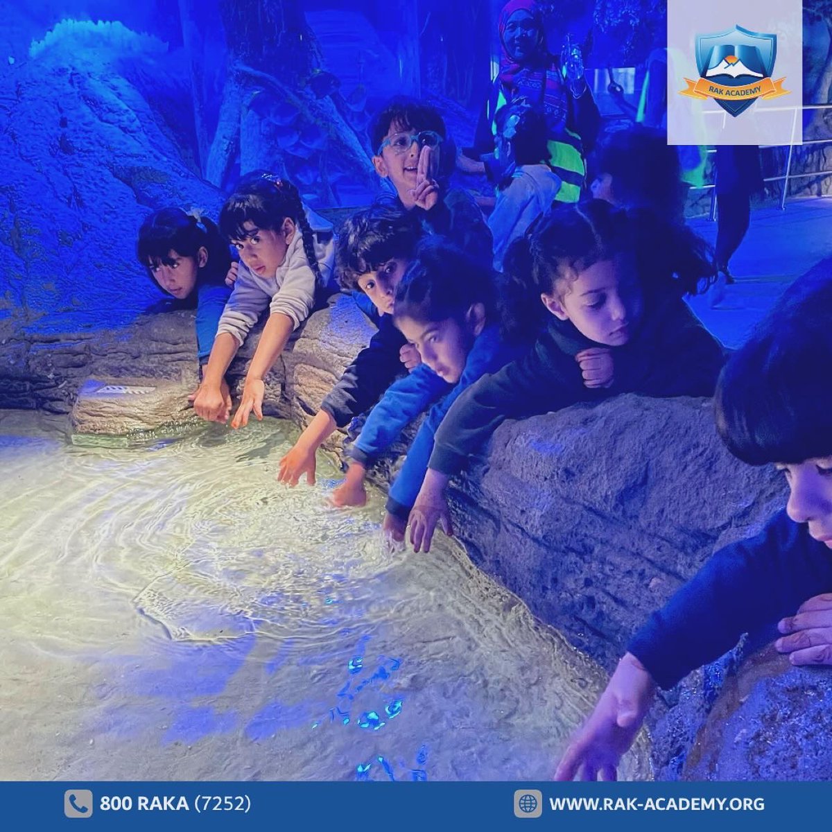 rakacademy_raka's tweet photo. 🩵🐠 KG1 students from RAK Academy Al Rams had an exciting trip to the Sharjah Aquarium during Term 2! 🤩Exploring marine life and discovering the ocean's beauty firsthand 🐟😍 

#rakacademy #raka #rasalkhaimah #alrams #khuzam #school #student #uae #rak #term2 #SharjahAquarium https://t.co/6kq6lmyFxU