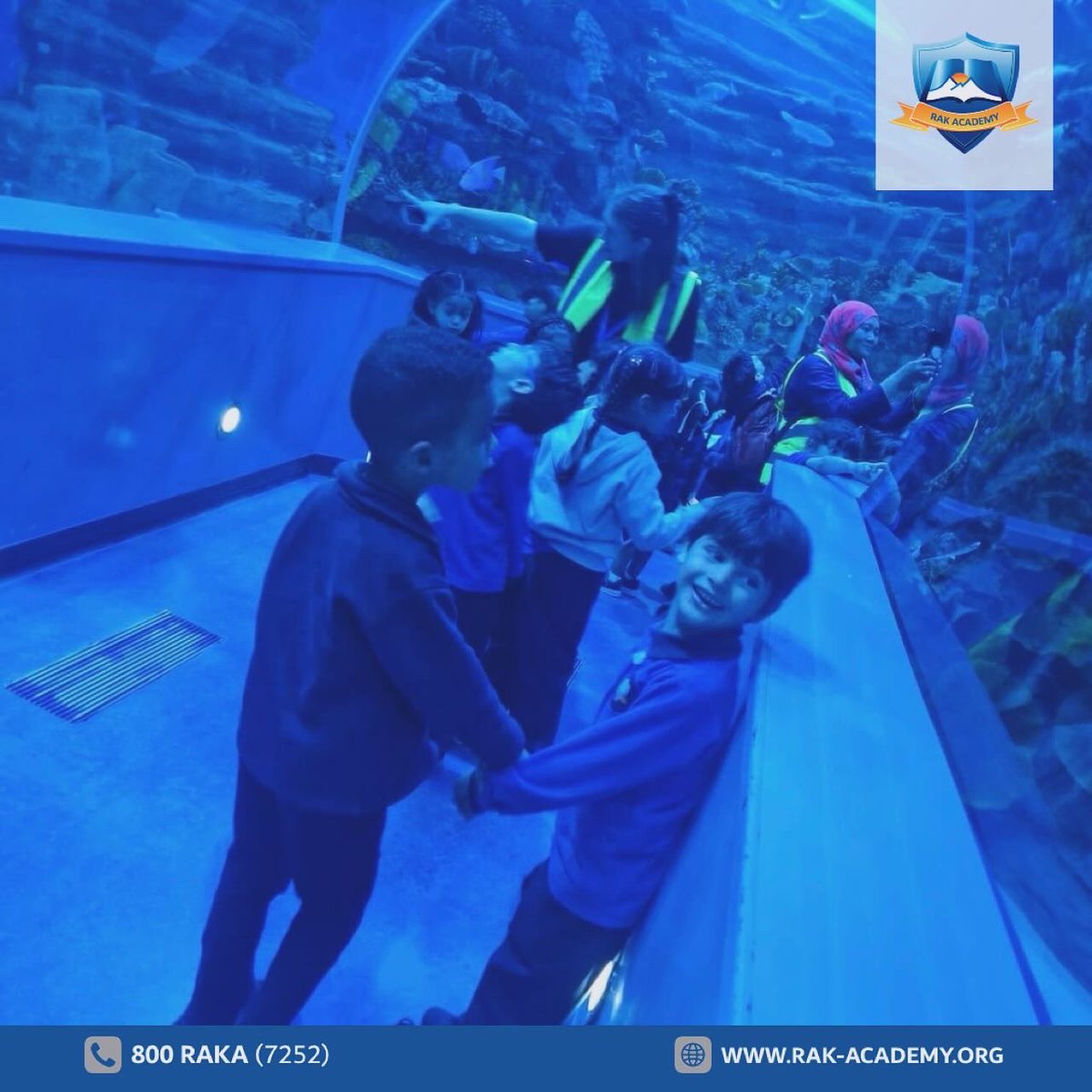 rakacademy_raka's tweet photo. 🩵🐠 KG1 students from RAK Academy Al Rams had an exciting trip to the Sharjah Aquarium during Term 2! 🤩Exploring marine life and discovering the ocean's beauty firsthand 🐟😍 

#rakacademy #raka #rasalkhaimah #alrams #khuzam #school #student #uae #rak #term2 #SharjahAquarium https://t.co/6kq6lmyFxU