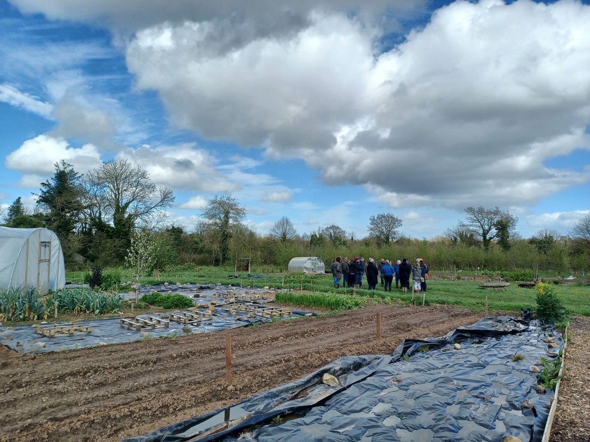 Inspiring farm walk yesterday @ farm of John McHugh, Co.Laois ☀️🌳 Learned about his trees +  organic journey, complete with a lime tree bustling with Ashy mining bee tunnels and a thriving young food forest. He's organic by philosophy, not just for the money. #OrganicFood🌿🐝🌳