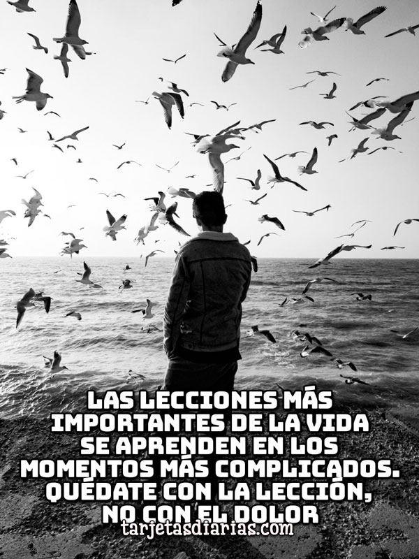 Escuela de Vida (@escueladevida21) on Twitter photo 