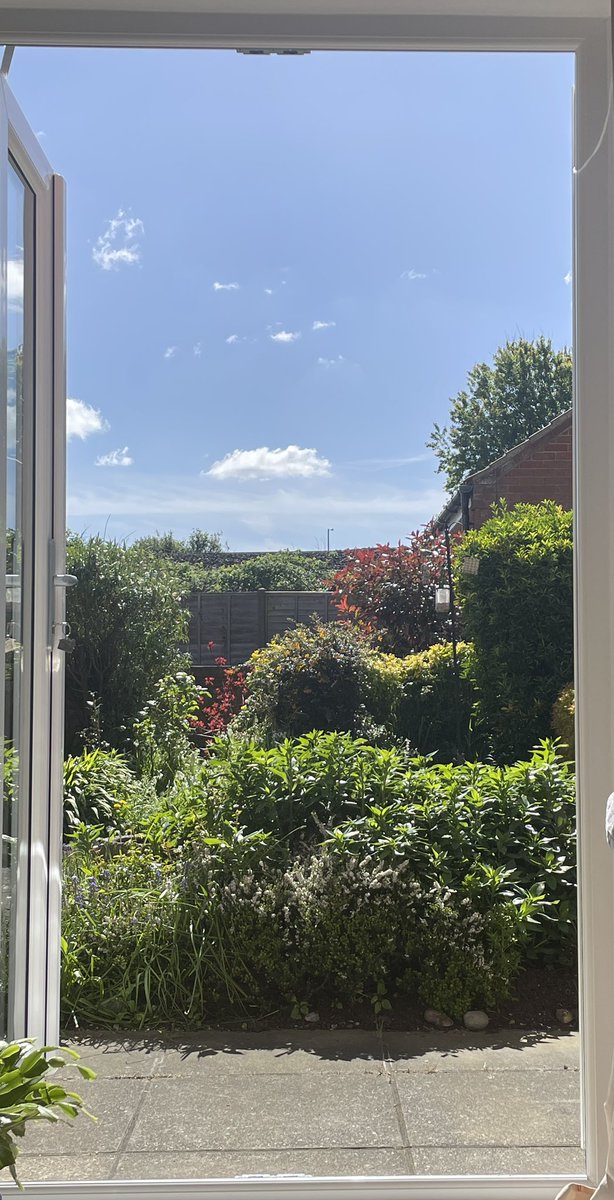Feet up - lunchtime view, a lovely sun trap #ForeverHome 🥰😎