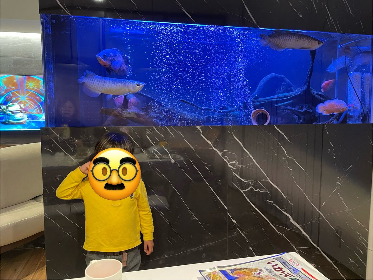 MABO99794505's tweet photo. 第2弾、鯉のぼり
水槽デカいのにするか🥲 https://t.co/o8USLKQI3G