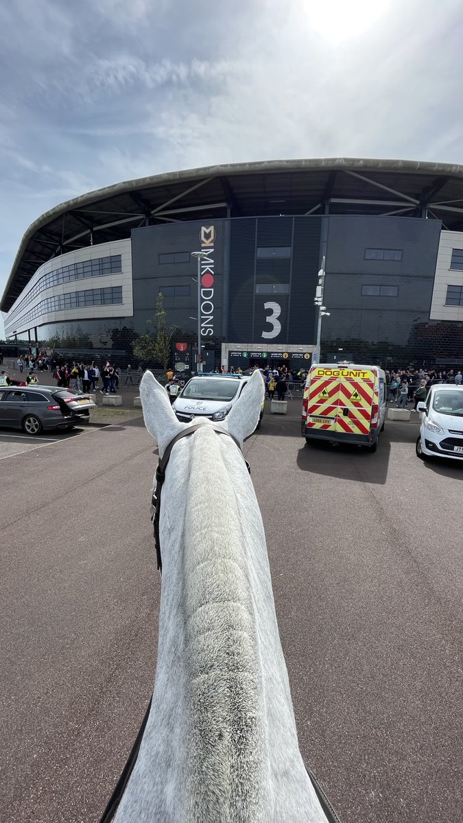 Yesterday, PHs Harper, Triton, Odin & Viktor popped down the road for the @MKDonsFC VS @mansfieldtownfc ⚽ We enjoyed the banana outfits worn by the Mansfield supporters & we even got to see the legendary banana man himself if anyone remembers that far back 😄