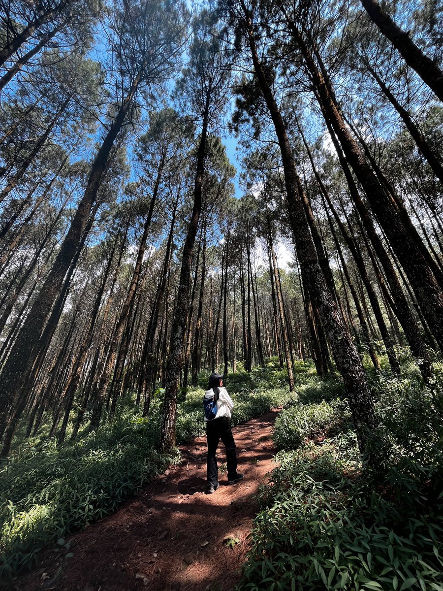 Idpn__'s tweet photo. Gunung pertama setelah lebaran https://t.co/2b26e2SiO9