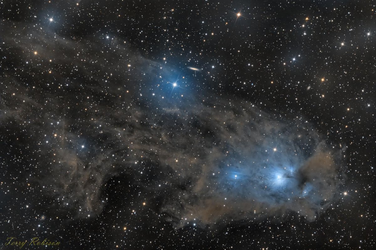 AstroBin's Image of the Day: 'NGC 5367 - Reflection Nebula in Centaurus' by Terry Robison astrobin.com/9kxn6z/?utm_so… #astrophotography #astronomy #astrobin #imageoftheday