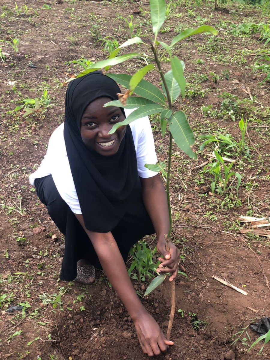 Planting a tree 🌴and forest restoration today is a step towards saving our beloved Earth 🌎 for future generations. 

Join us in this mission  to create a greener environment  more sustainable future.#Reforestation #GreenPlanet #Restoration our planet. @Ssendagire_Abdu