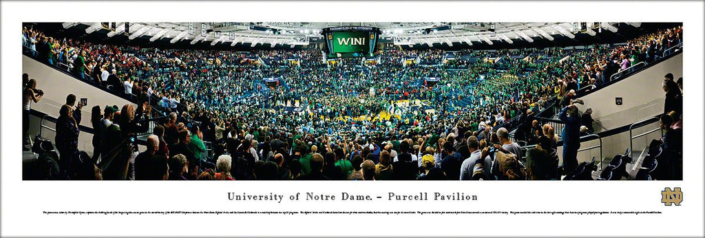 Amazing item from Sports Poster Warehouse, available now! Notre Dame Fighting Irish Basketball 'Storm the Court' Panoramic Poster -... 
just $39.95 + S&H. 
Shop now 👉👉 shortlink.store/ix4tm3njxem0
#sportsposters #sportscollectibles #sportsgifts #walldecor #sportsdecor