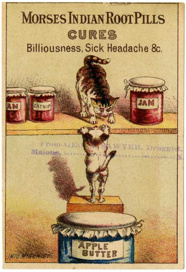 Sunday Patent Medicine Card: Dr. Morse's Indian Root Pills was one of the most successful patent medicines in the U.S. in the second half of the 19th century & well into the 20th tinyurl.com/3haxyhe5 #histmed