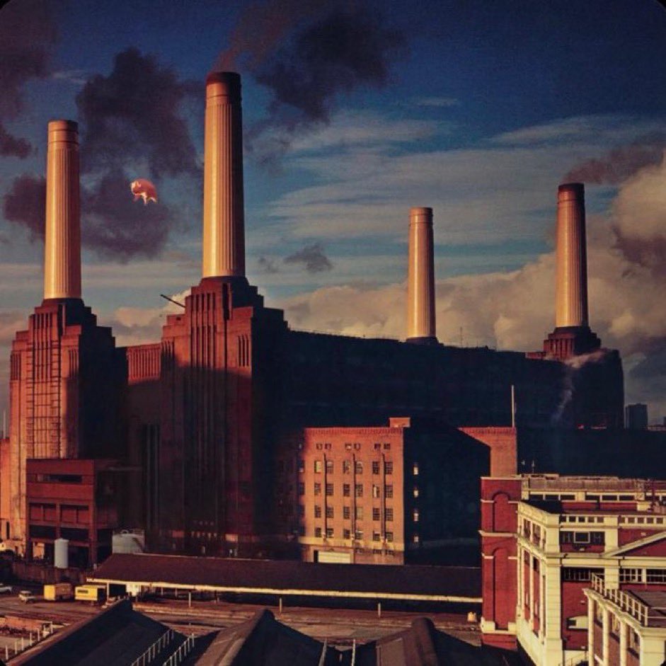 Is 'Animals' by Pink Floyd in your TOP 10 albums of ALL TIME? 👇
#PinkFloyd