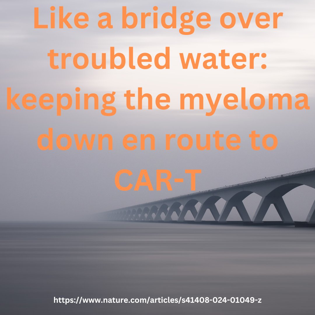 📰This study published by @BloodCancerJnl,    elucidates not only the importance of disease biology but also the role of management prior to apheresis. 
READ➡️tinyurl.com/3yb2tt76
#MYELOMA #MultipleMyeloma #bloodcancer #hematology #MedTwitter #Oncology #Cancer #CancerResearch