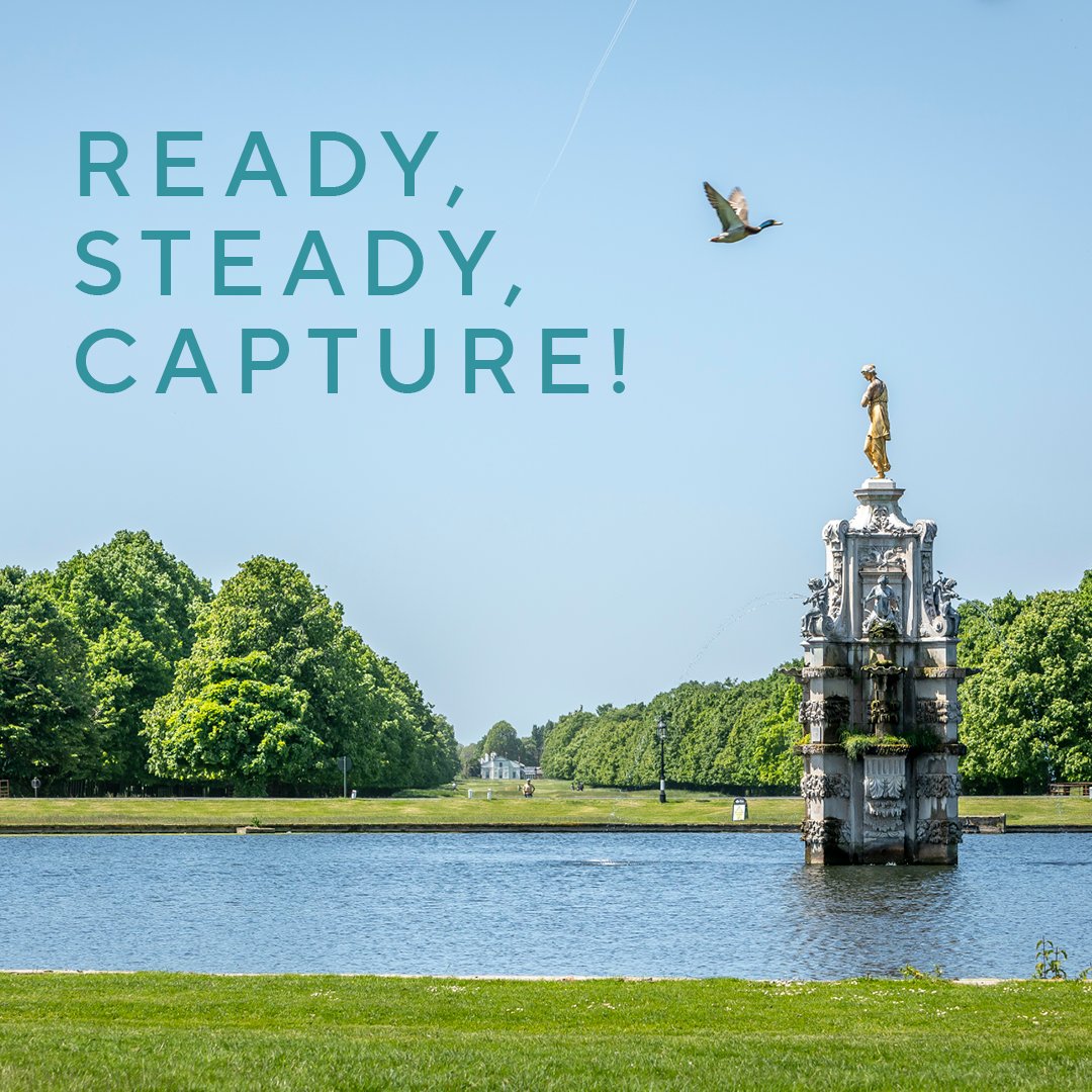 Capture the magic of new life sprouting across London's Royal Parks! 🌳 🦆 🌷 Whether it’s a family of ducklings or a bloom of tulips, we want to see the life you see thriving in our parks. Enter our Spring Photography Competition and show off: bit.ly/4d5ItAm.