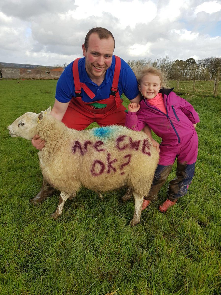 Here’s Lanarkshire-based Alistair Tennant, and his neice Laurie, getting behind the #KeepTalking #AreEweOkay message. Many thanks both for a lovely bright picture! Hoping that everyone around the country is getting at least a little sunshine today. ❤️ @SAYFC