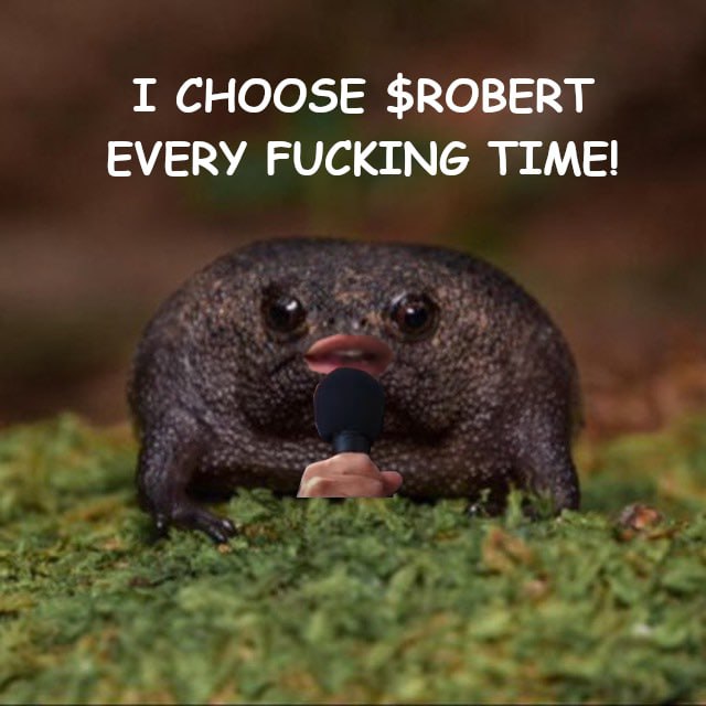 cuz $Robert is for the boissss 🐸