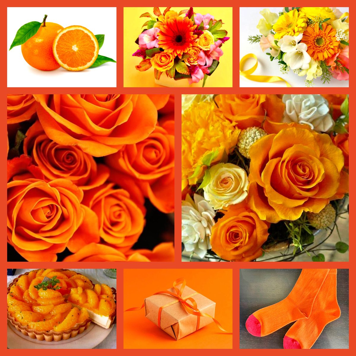※今日は何の日

2月14日：バレンタインデー
愛を告白し💚
3月14日：ホワイトデー
愛に答え🩷

4月14日：『オレンジデー』
愛を深め合って欲しいから🧡

『第3の愛の記念日』

「オレンジデー」とは大切な人とオレンジ色のものを贈り合う日本独自の記念日🧡🍊🧡

花言葉：花嫁の喜び

#オレンジデー