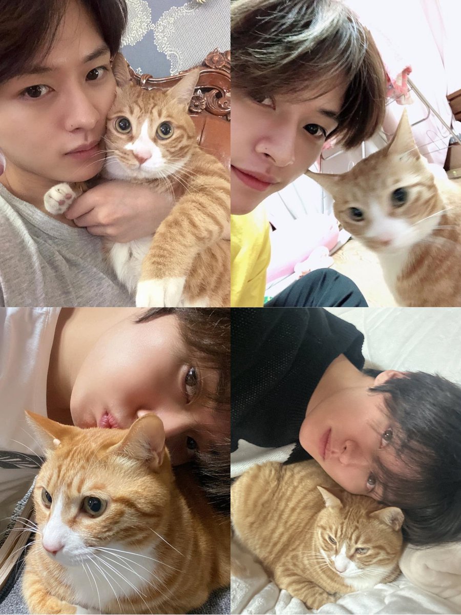 dailylinoring's tweet photo. leeknow and soonie's cozy selcas 🥹💔 https://t.co/ZE4pYOo2kp