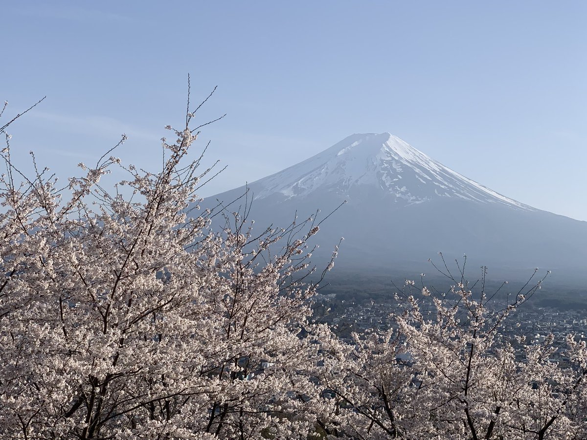 mayodoriru's tweet photo. 絶好の富士山日和
いいね！ https://t.co/jtbqqz82W1