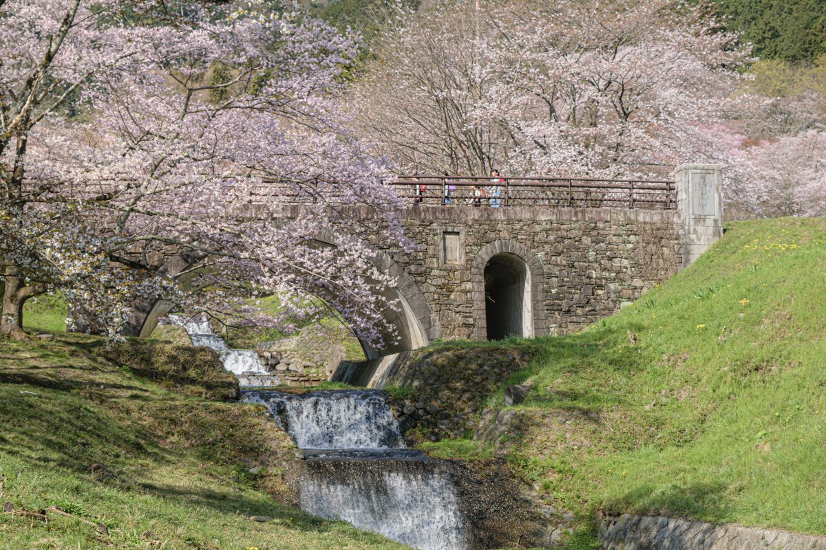 春らしい景色って良いな😊

2024/04/01
#桜 #霞間ヶ渓
#flowers⁡
#東京カメラ部 #tokyocameraclub
#私とニコンで見た世界
#ファインダー越しの私の世界
#写真好きな人と繋がりたい
#額装のない写真展