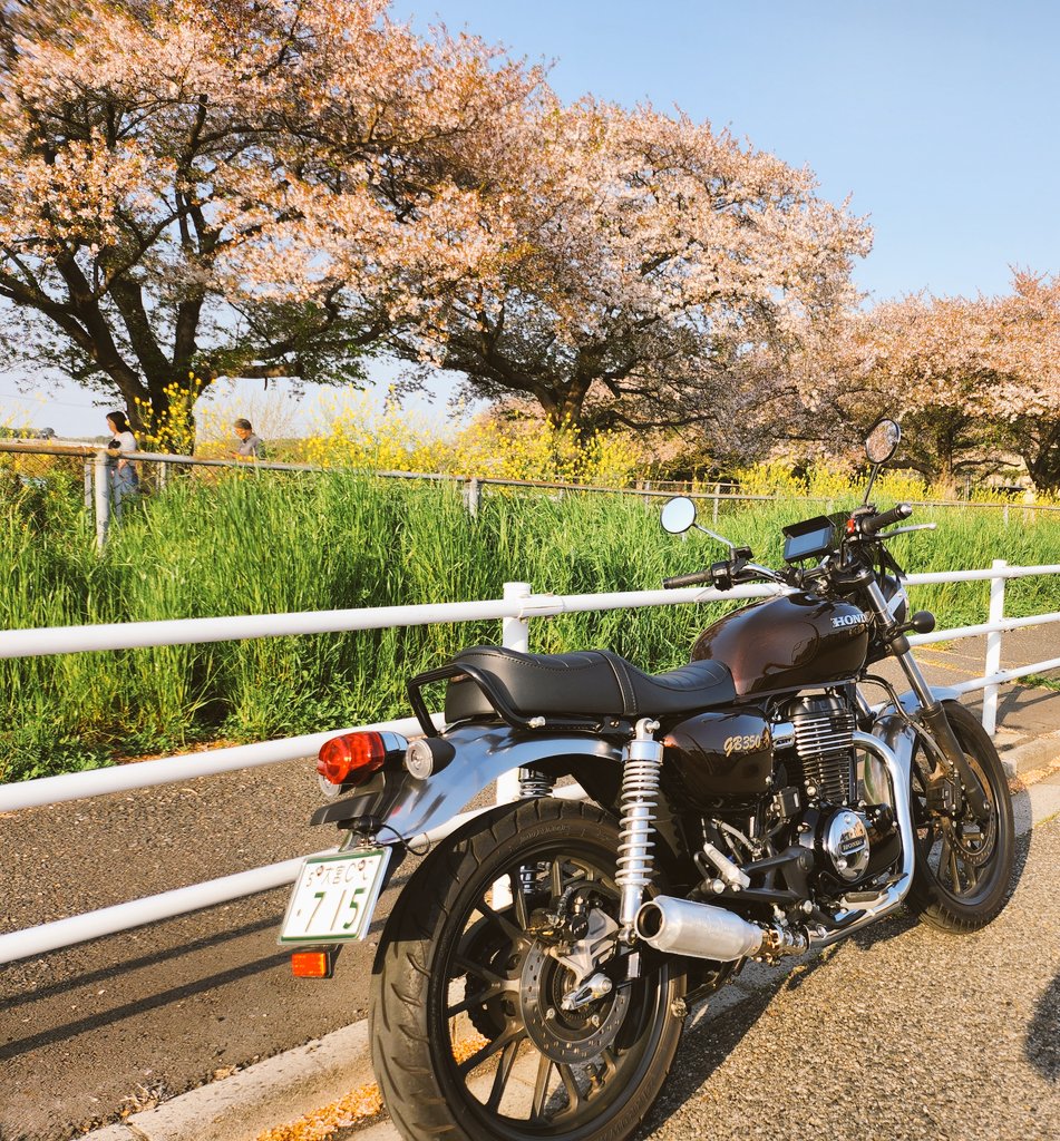 近所を散歩。
桜も見納めかな。あっという間だな～☺️
あ～ラーメン食べたい🤤
#GB350
#バイク乗りと繋がりたい
#バイクのある風景