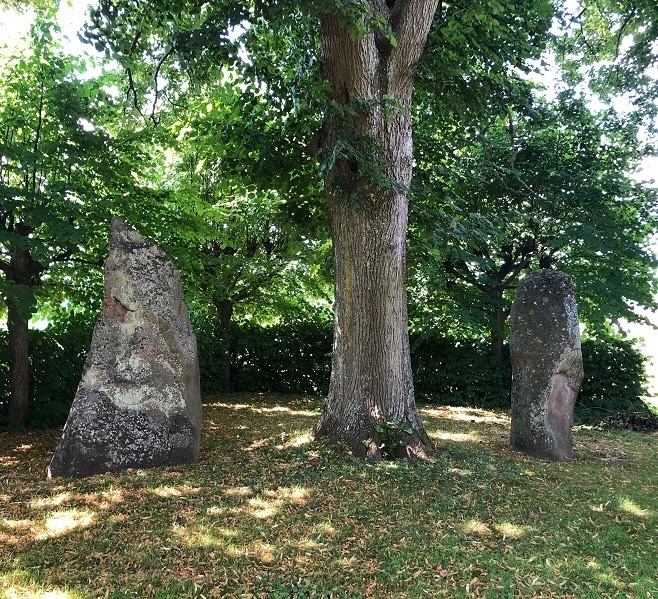 I’ve been looking forward to introducing you to the standing stones of Båstad (Skåne, Sweden of course)… In a lovely wooded grove. Probably raised during the Iron Age, over burials from that period. #StandingStoneSunday  More 1/