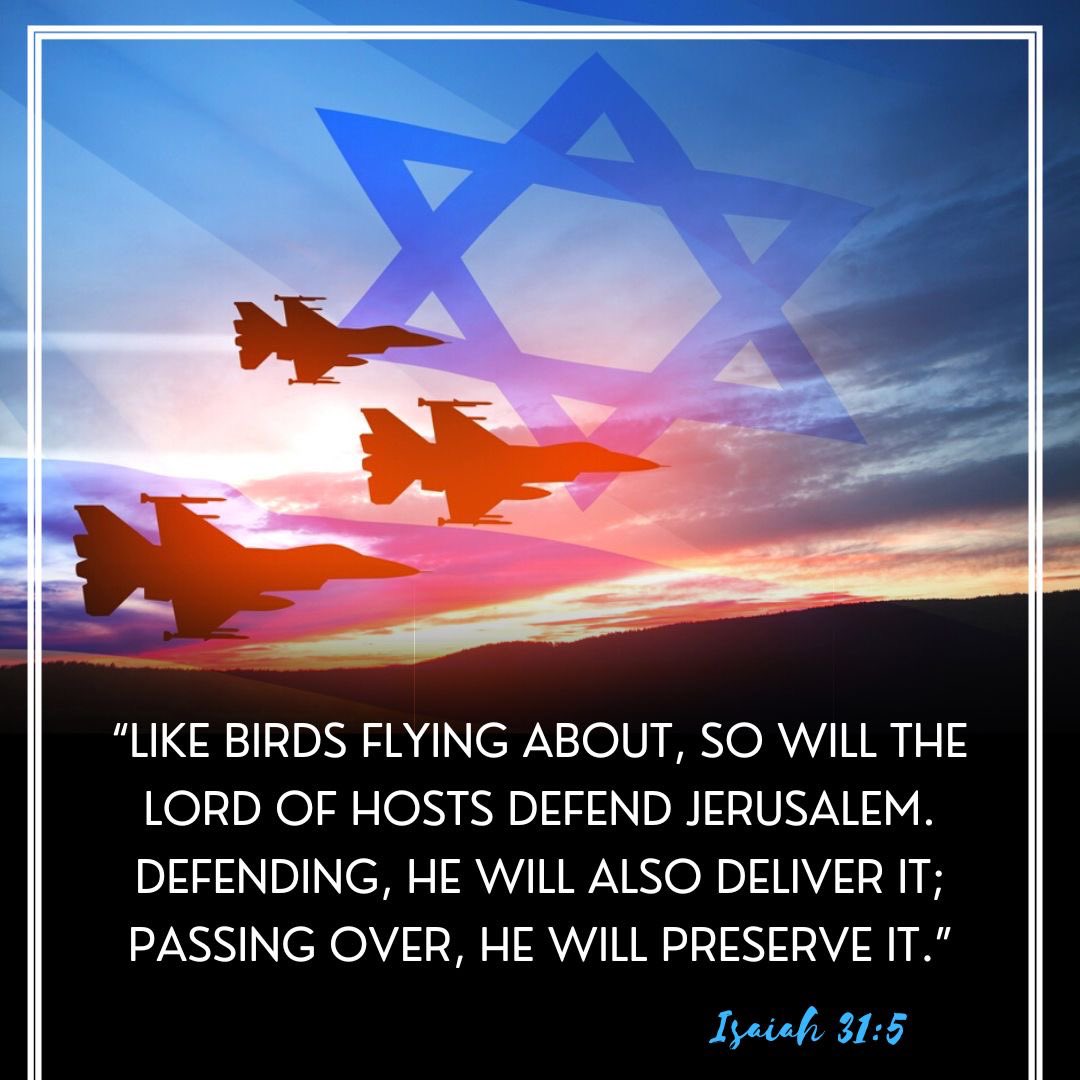 “As birds flying, so will the Lord of hosts defend Jerusalem; defending also He will deliver it; and passing over He will preserve it.” - Isaiah 31:5 #Pray4Jerusalem #Pray4Israel