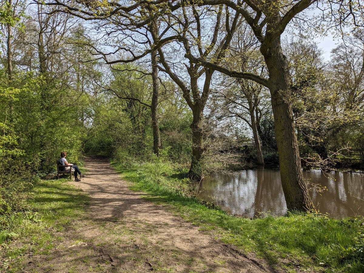 NEW! Walk 259: Tewin South Loop (2.8 miles - 4.5 km) Free directions, maps, photographs and GPX navigation. #Hertfordshire #walking #freewalks #HertfordshireWalks #countryside hertfordshirewalker.uk/2024/04/walk-2…