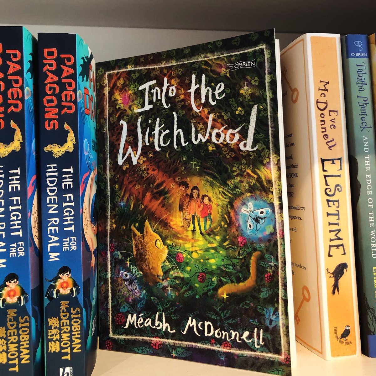 Wonderful to have so many children’s authors @HalfwayUpBooks yesterday to celebrate Into the Witchwood - @meabhmcdonnell ‘s debut. Thanks to @AlNolan @Eve_Mc_Donnell @aliwea and @samblakebooks for a lovely lunch celebration! Signed copies of all their books now in store!